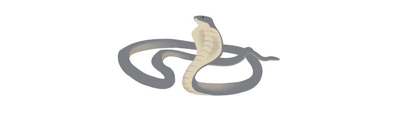 Pennsylvania Mini COBRA - Snake